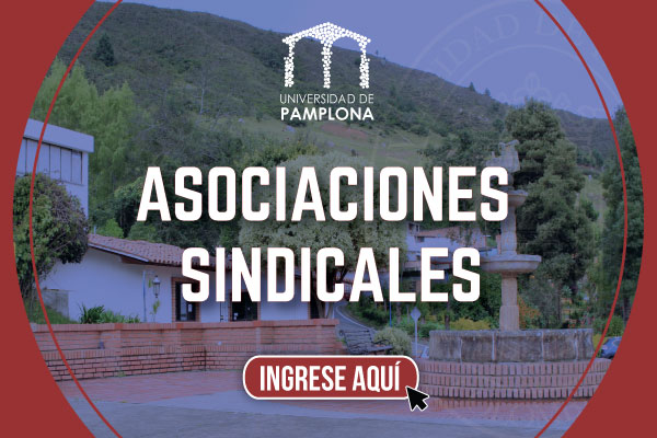 Asociaciones sindicales Unipamplona