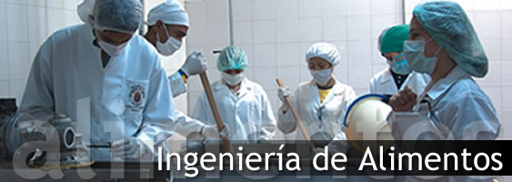 Ingeniería de Alimentos