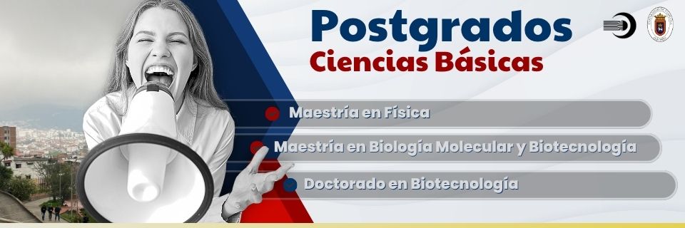 Extensión