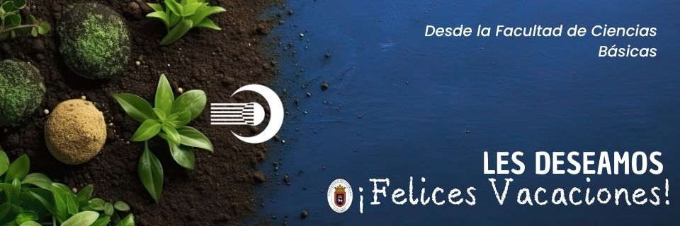 Docentes