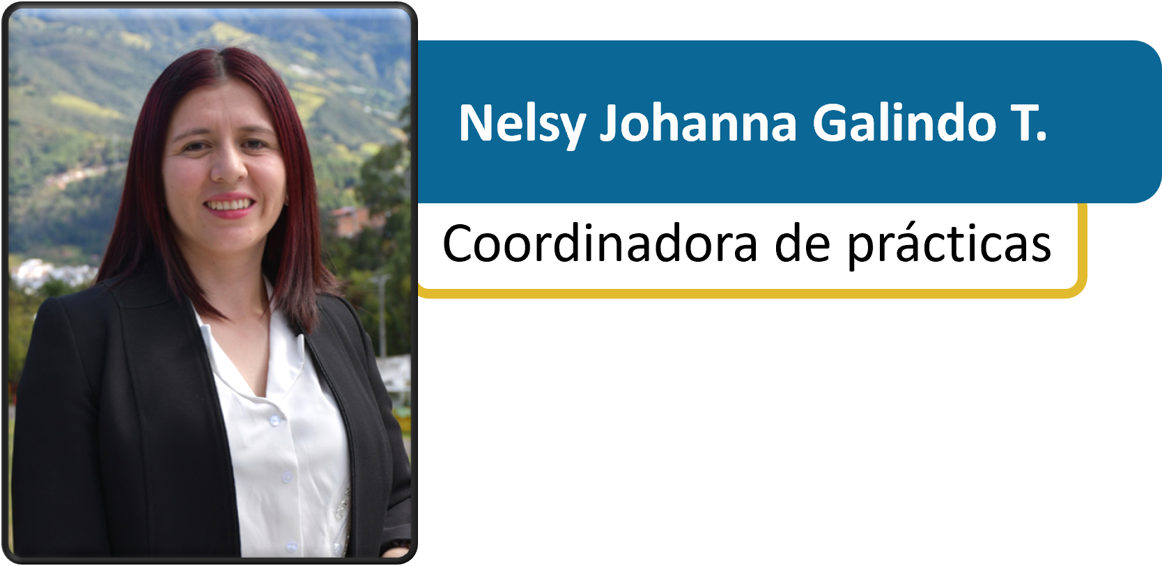 Comit&eacute; de Pr&aacute;cticas - Nelsy