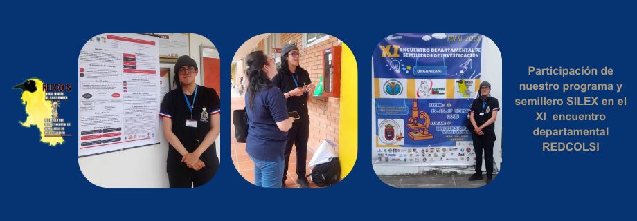 xi_encuentro_redcolsi