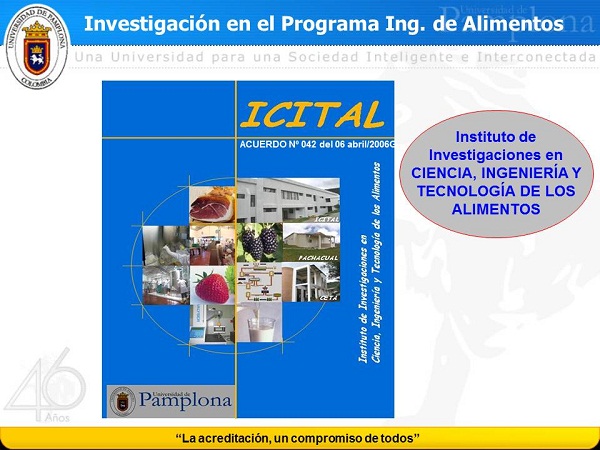 Figura 4. Investigación en el Programa Ingenieria de Alimetos