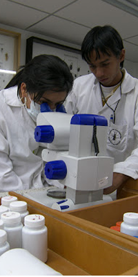 Laboratorios